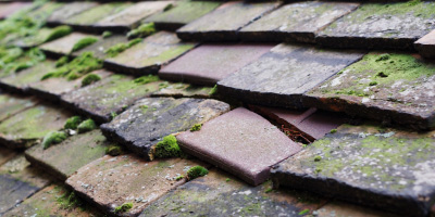 Knotty Ash roof repair costs